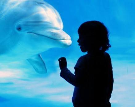 择思达斯_自闭症孩子有什么常见的行为表现?